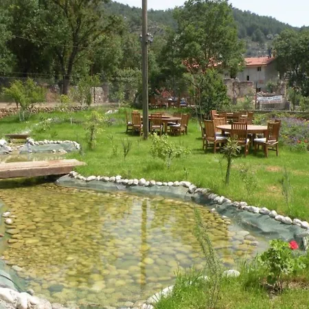 Camping Bay Efetto *
